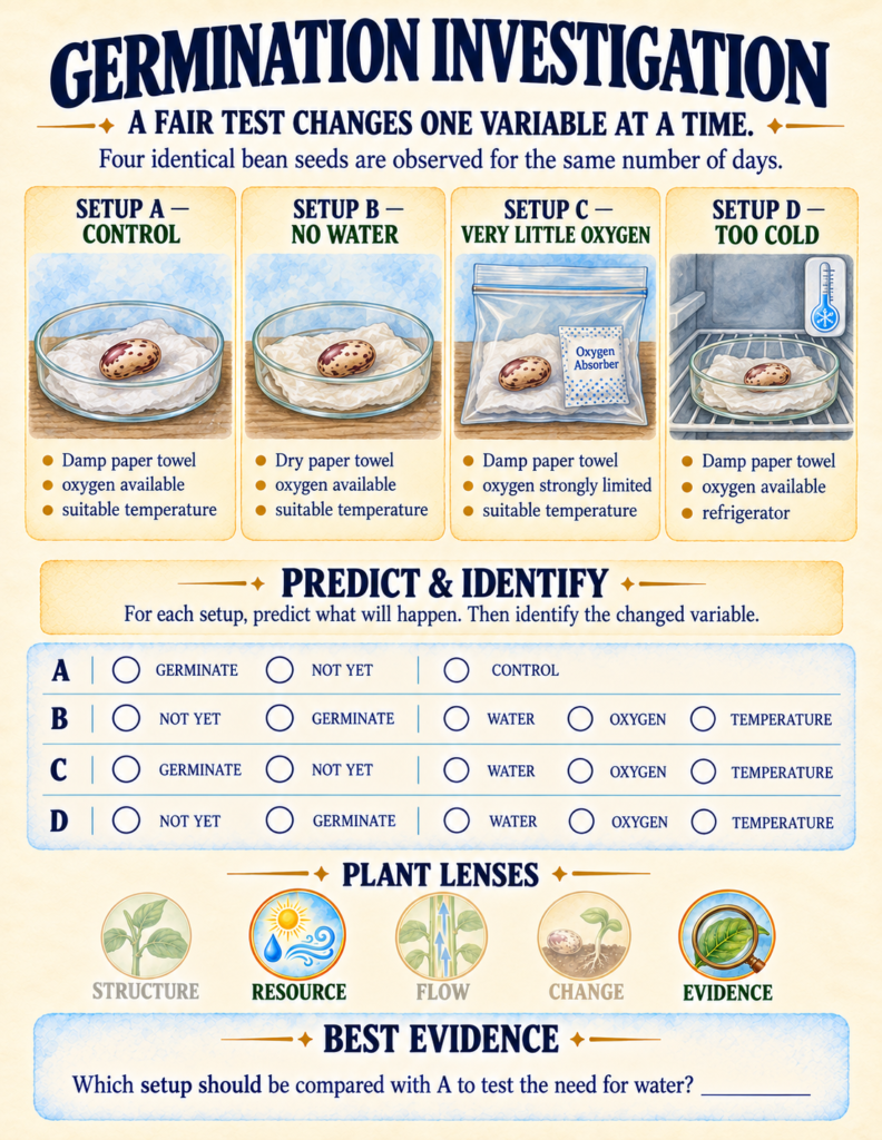 Controlled variable experiment setup testing seed germination across four Petri dishes with different environmental conditions.