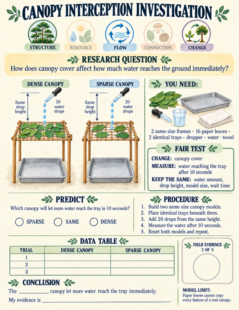 Hands-on canopy interception experiment page with a fair-test data table and step-by-step instructions.