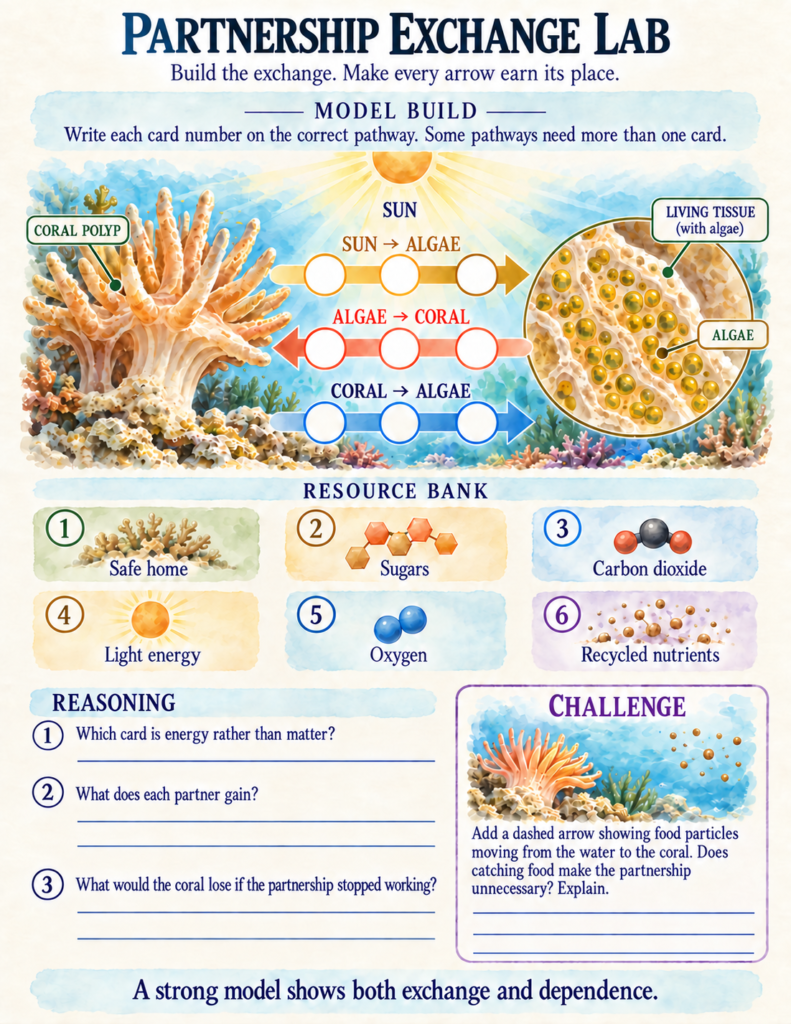 Mutualistic exchange diagram illustrating the flow of sugars, oxygen, and waste products between a coral polyp and microscopic algae.